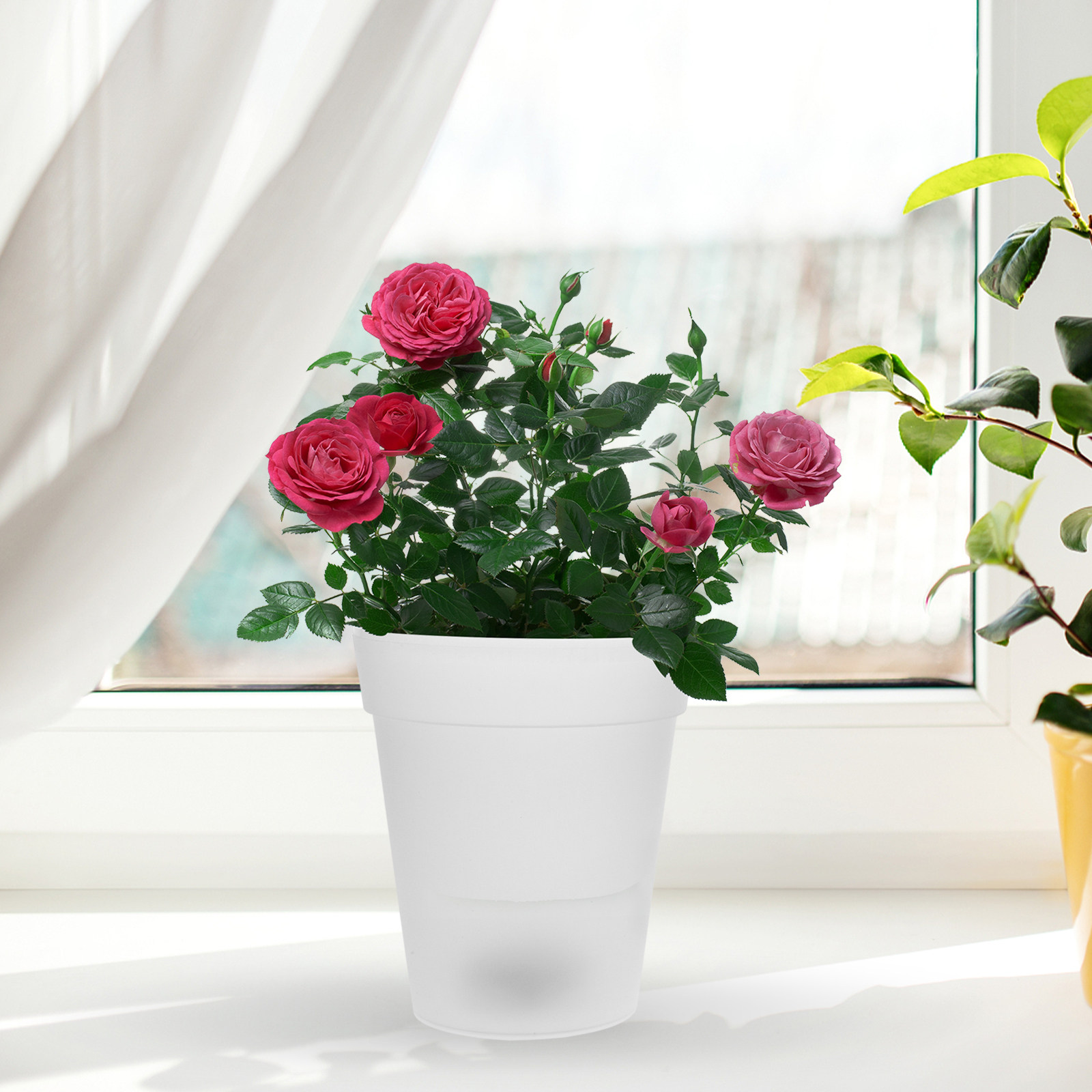 Flowerpot Solar Light Outdoor  - Outdoor Lighting For Christmas 评论和价格