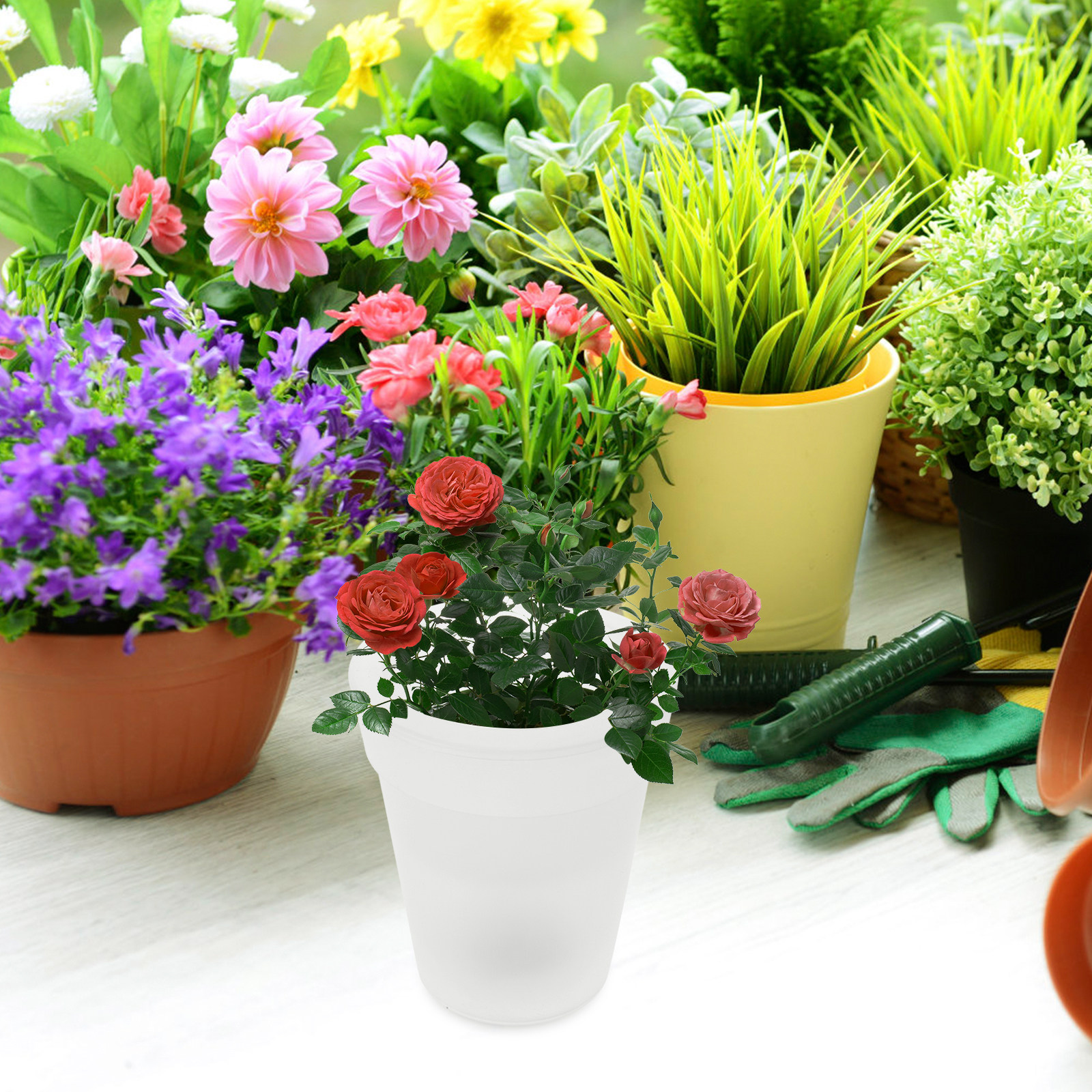 Flowerpot Solar Light Outdoor  - Outdoor Lighting For Christmas 评论和价格