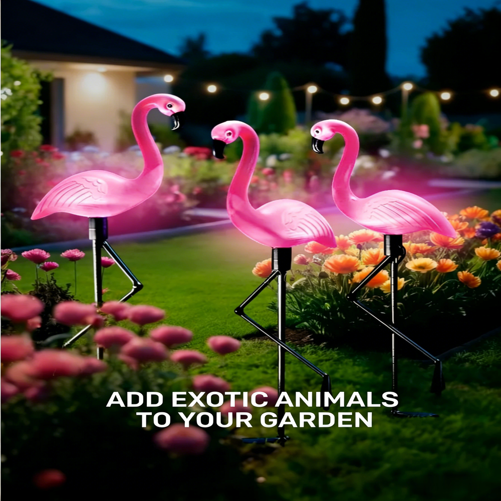 3Pcs Solar Powered Flamingo Gr - Outdoor Lighting Yard Stakes 评论和价格