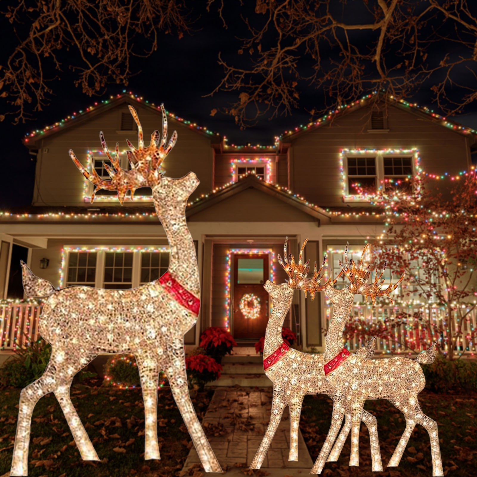 Lighted Christmas Decoration D - Outdoor Lighting Yard Stakes 评论和价格
