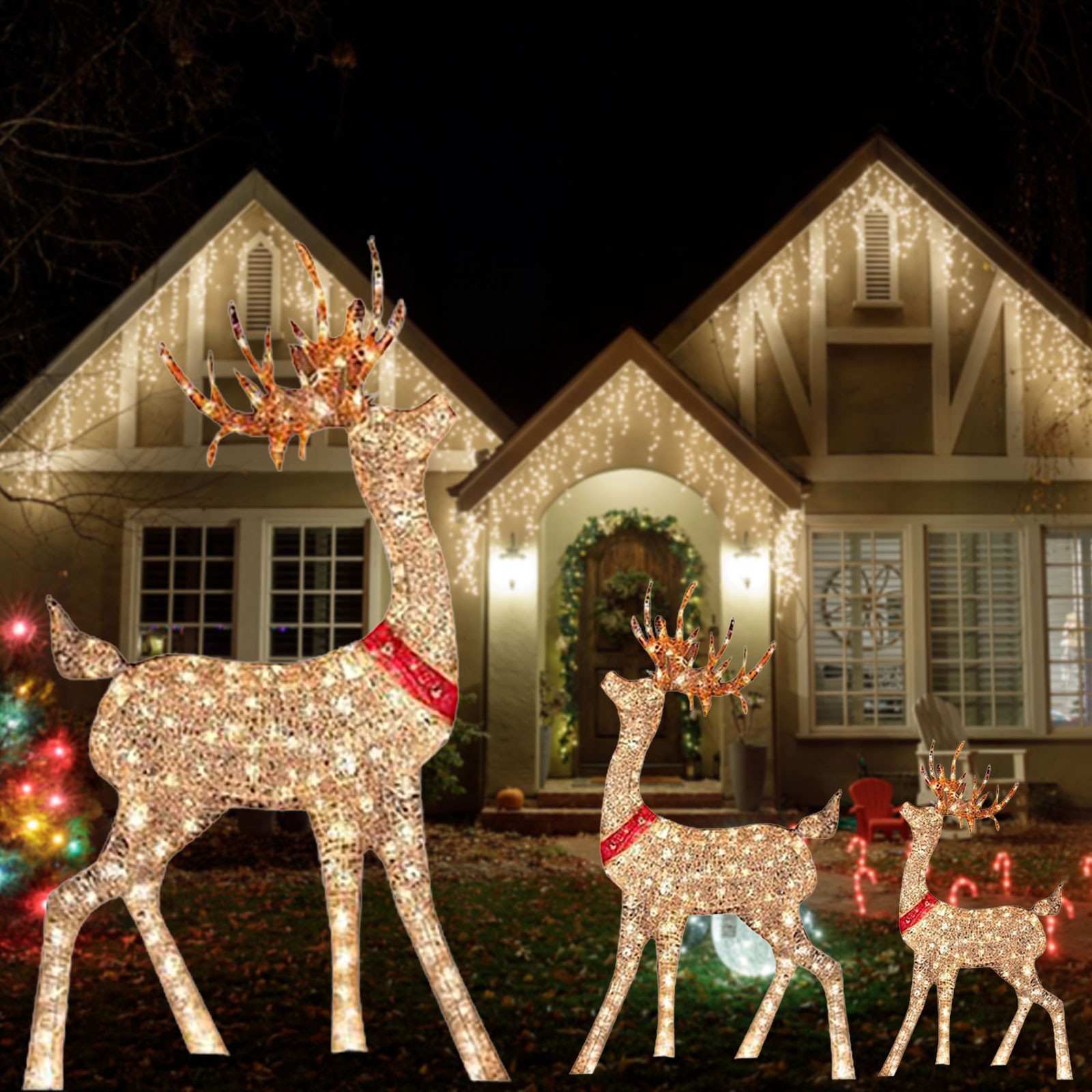 Lighted Christmas Decoration D - Outdoor Lighting Yard Stakes 评论和价格