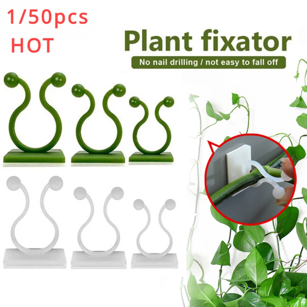 1/30/50Pcs For Garden Accsesor - Outdoor Lighting With Outlet 评论和价格