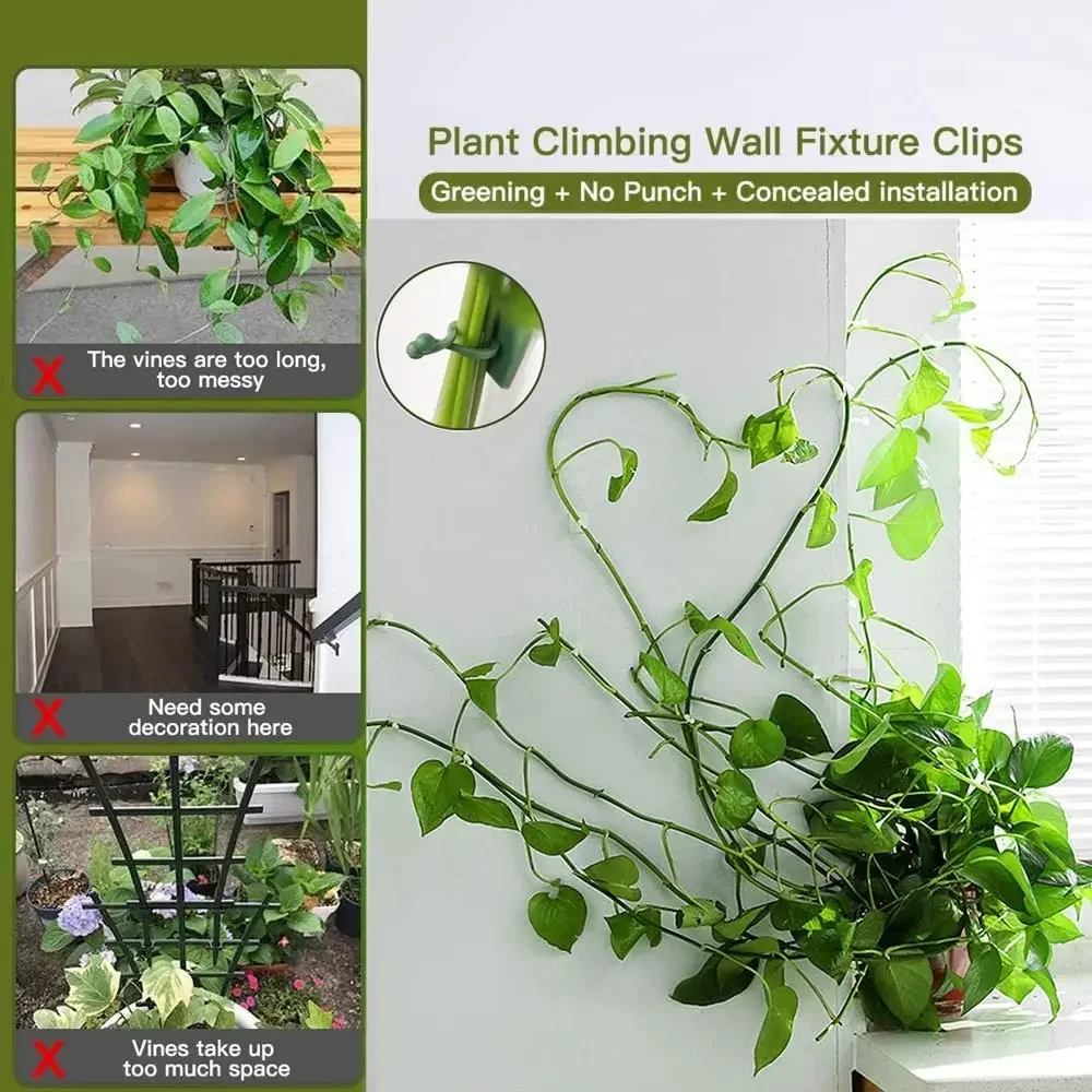 1/30/50Pcs For Garden Accsesor - Outdoor Lighting With Outlet 评论和价格