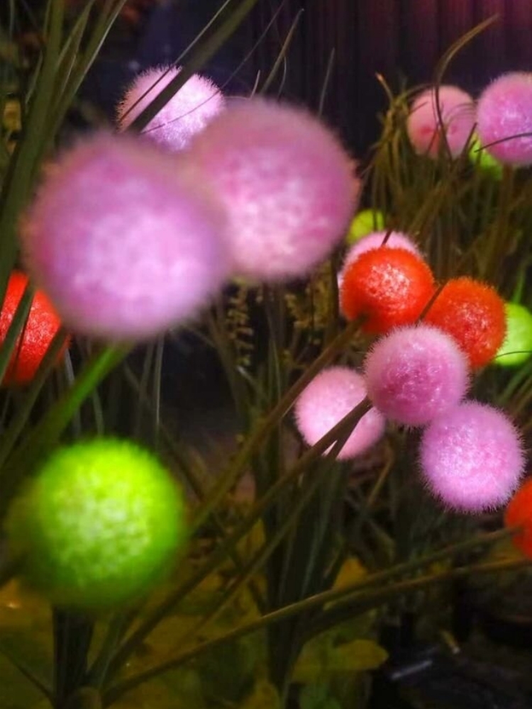1/2PCs Pom-Pom Solar LED Stake - Outdoor Lighting Yard Stakes 评论和价格