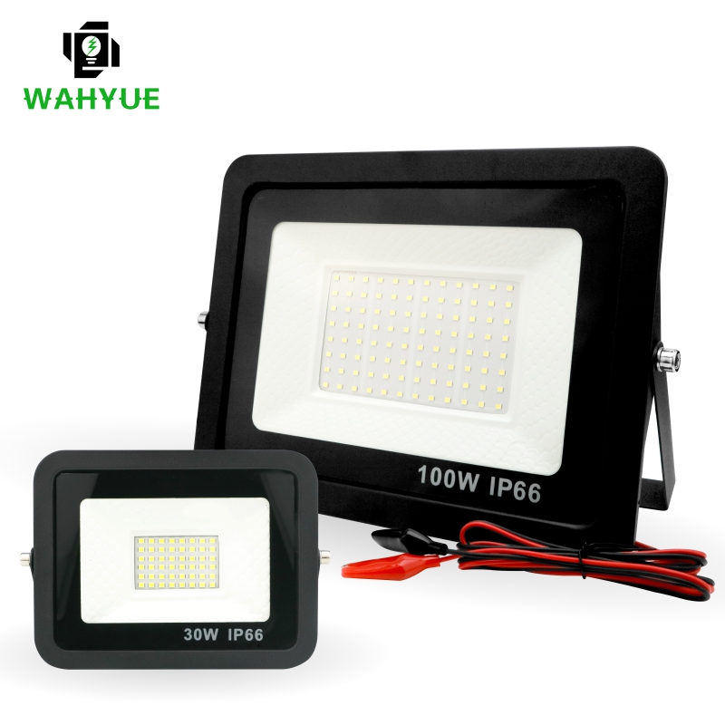 20W 30W 50W 100W DC12V Led Flo - Outdoor Lighting Volt 评论和价格