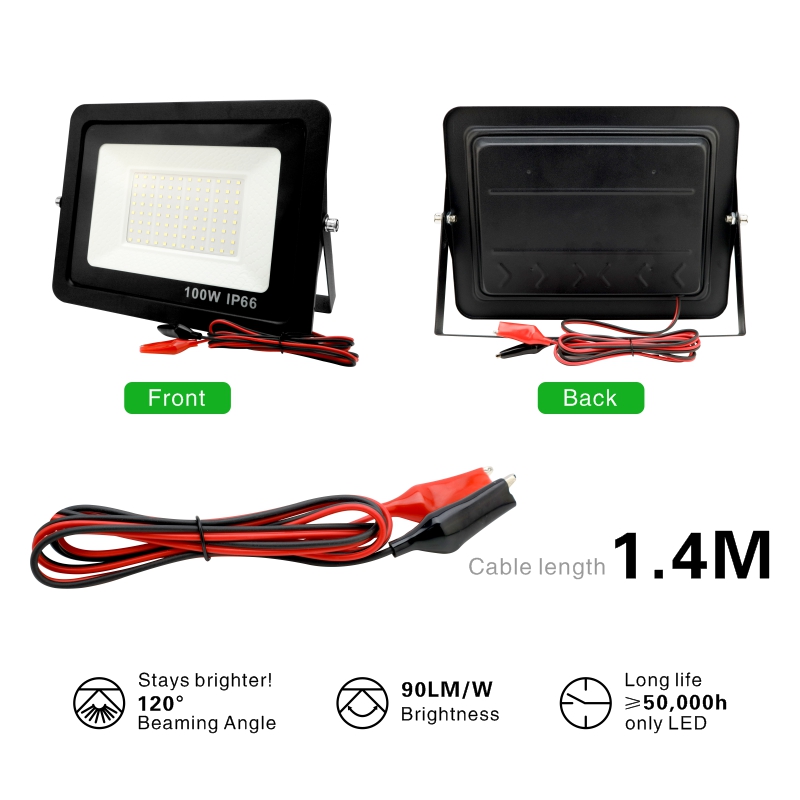 20W 30W 50W 100W DC12V Led Flo - Outdoor Lighting Volt 评论和价格