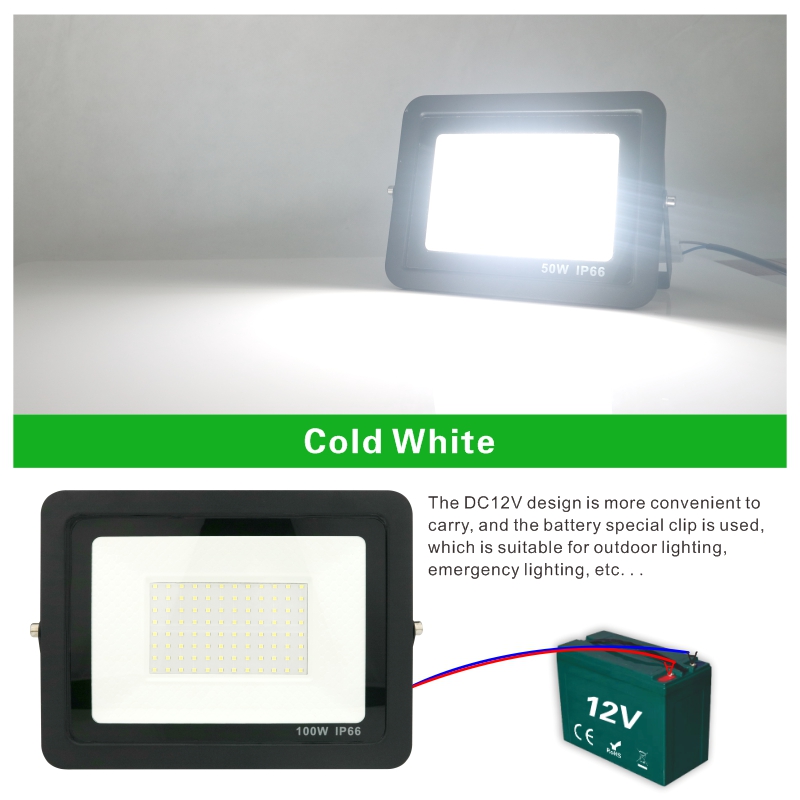 20W 30W 50W 100W DC12V Led Flo - Outdoor Lighting Volt 评论和价格