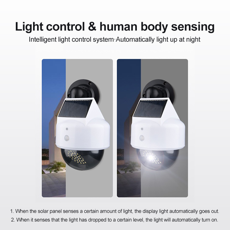 Solar Simulation Camera Motion - Outdoor Lighting With Outlet 评论和价格